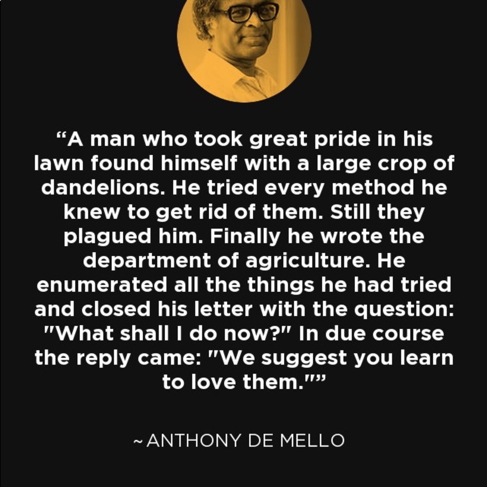 Meet your Posher, Bryan